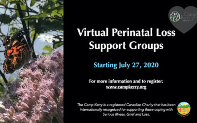 Virtual Perinatal Loss Support Groups: Summer Session 2020