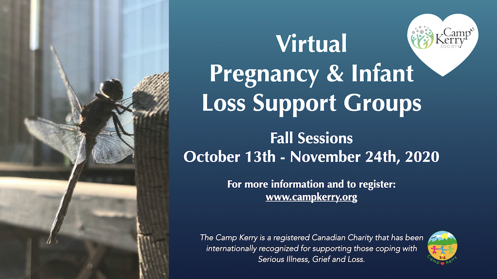 Virtual Pregnancy & Infant Loss Support Groups
