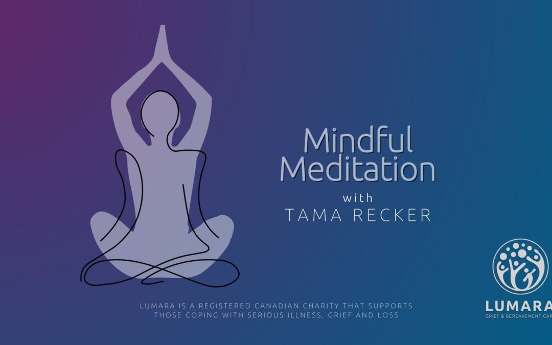 Mindfulness Meditation Drop-in with Tama