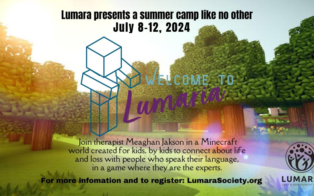 Minecraft Virtual Summer Camp