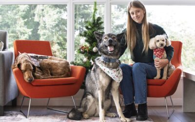 Holiday Campaign 2025